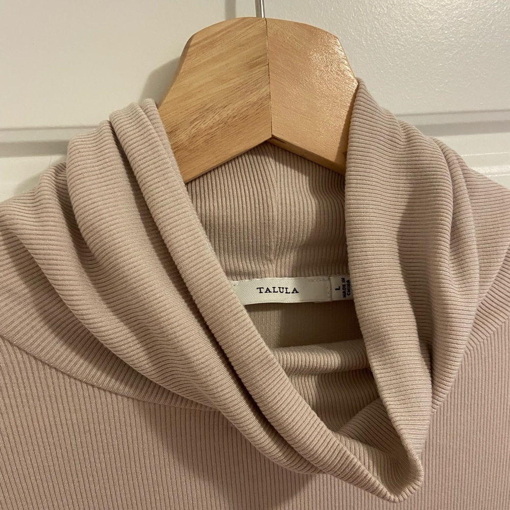 Aritzia turtleneck long sleeve
